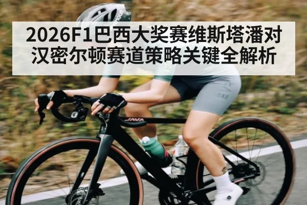 2026F1巴西大奖赛维斯塔潘对汉密尔顿赛道策略关键全解析