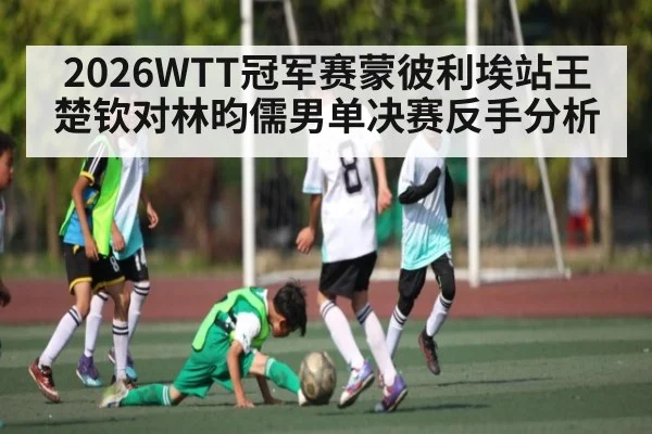 2026WTT冠军赛蒙彼利埃站王楚钦对林昀儒男单决赛反手分析
